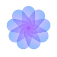 野花日本大全免费观看10中文