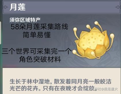 《原神》3.1月莲采集路线及位置 原神月莲在哪里采