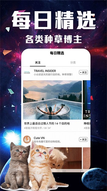 午夜播放器app