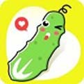 樱樱视频app下载入口