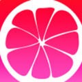 免费真人直播软件app