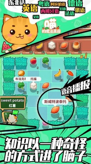 喵的魔法菜园1