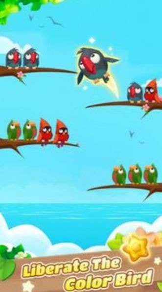 彩色鸟排序Color Bird Sort1
