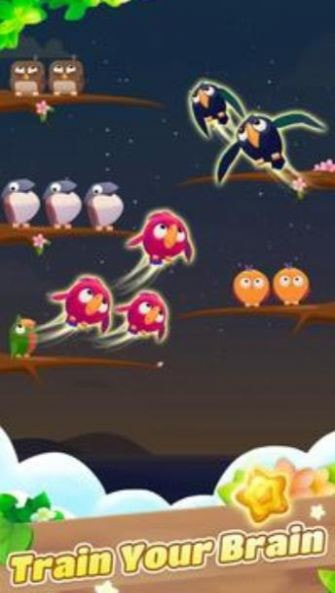 彩色鸟排序Color Bird Sort0