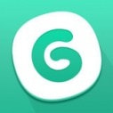 大玩家app_logo