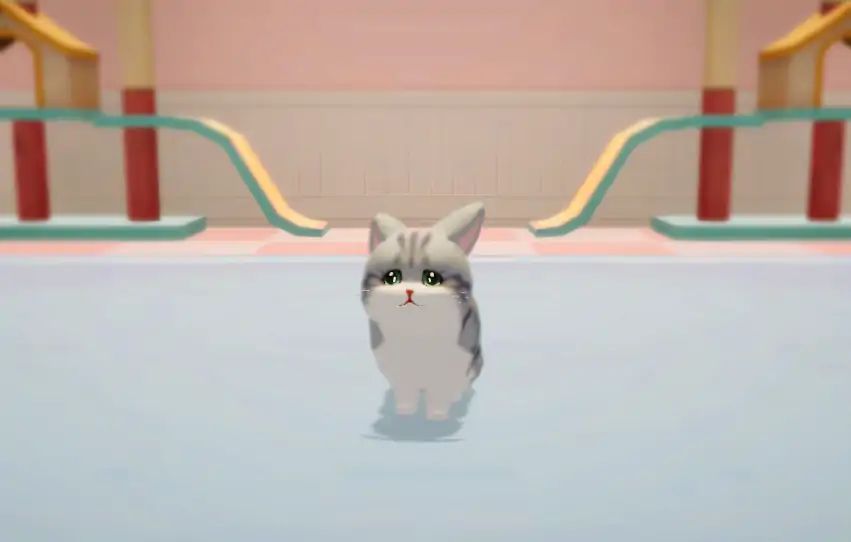 养了个猫999999金币4
