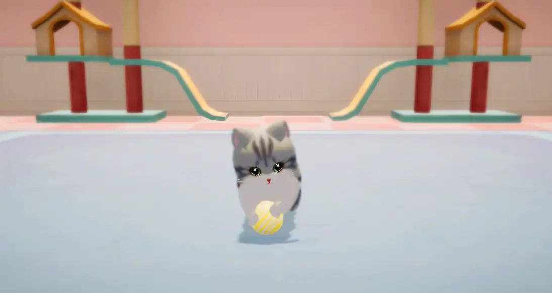 养了个猫999999金币5